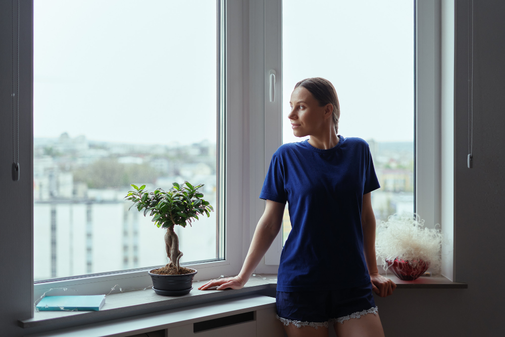 San Diego Window Styles